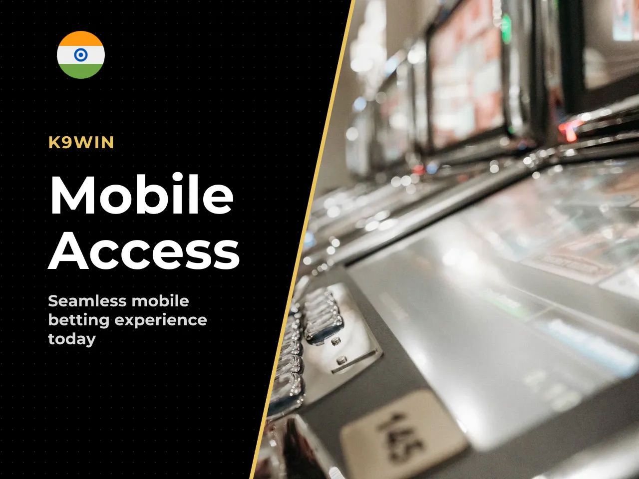 What to Expect from K9Win Access