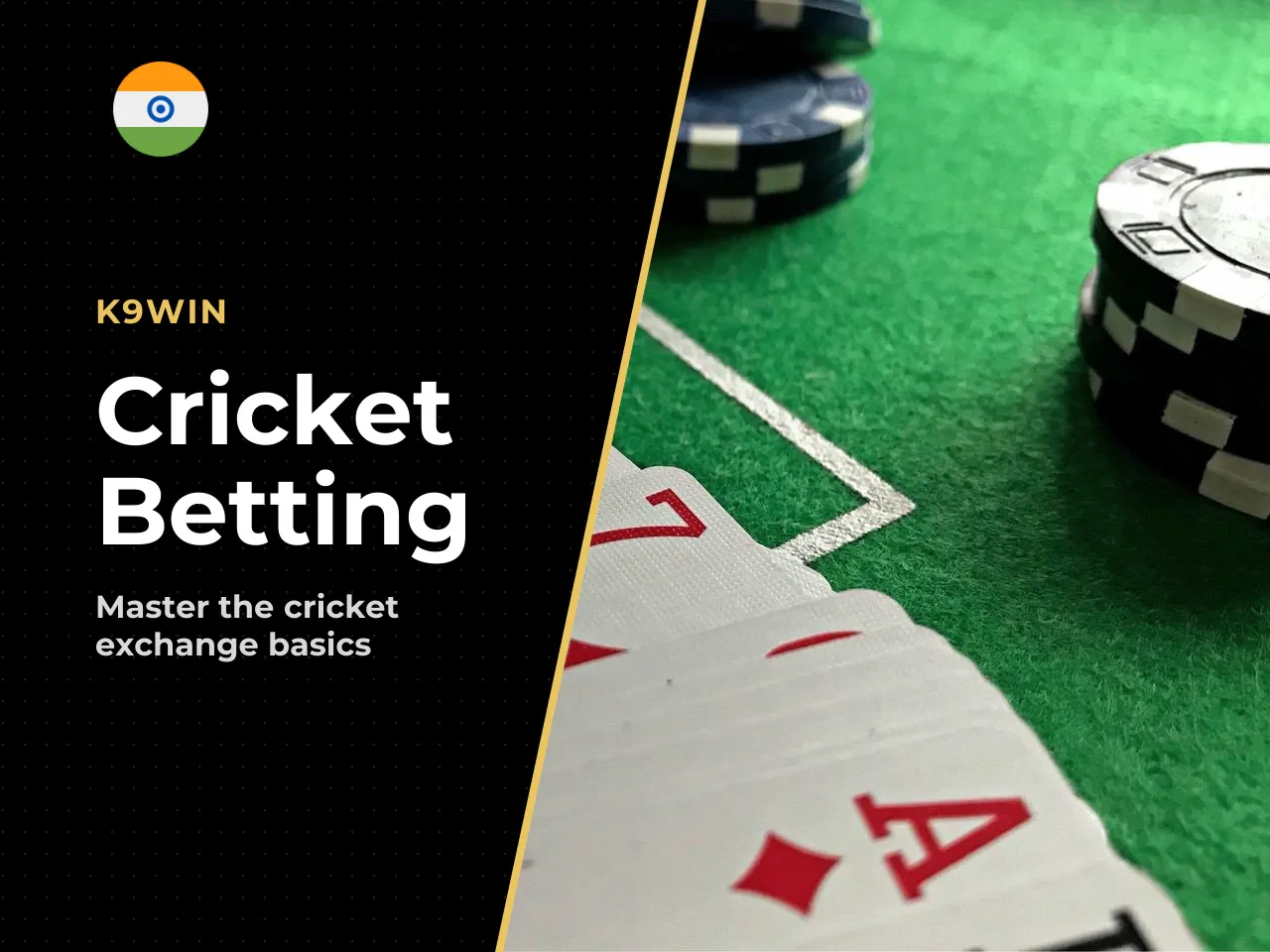 What Is K9Win IPL and Why