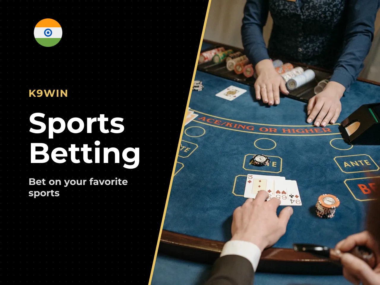 K9Win Sportsbook Sports Betting. Beyond the