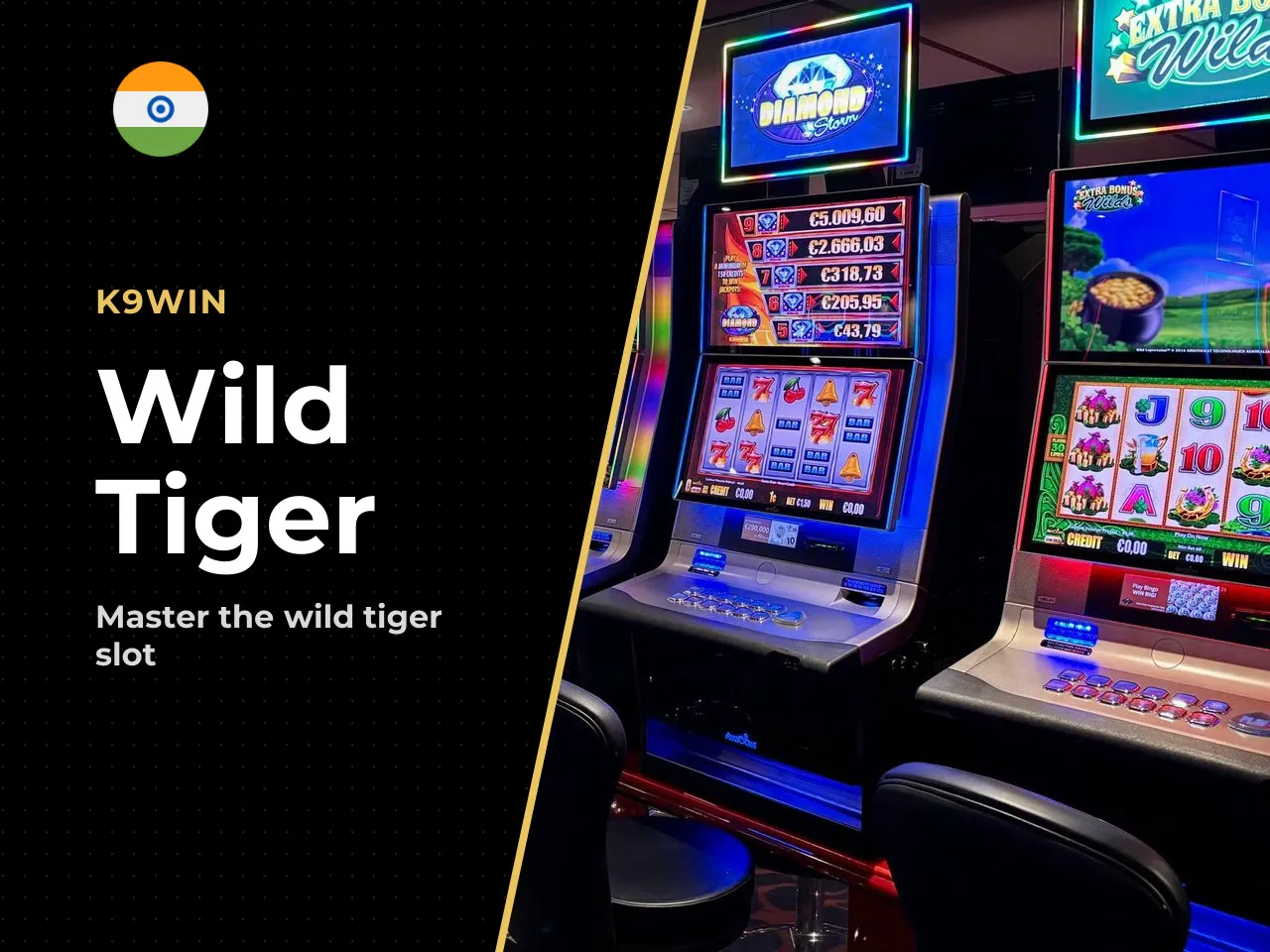 Playing Wild Tiger in India what