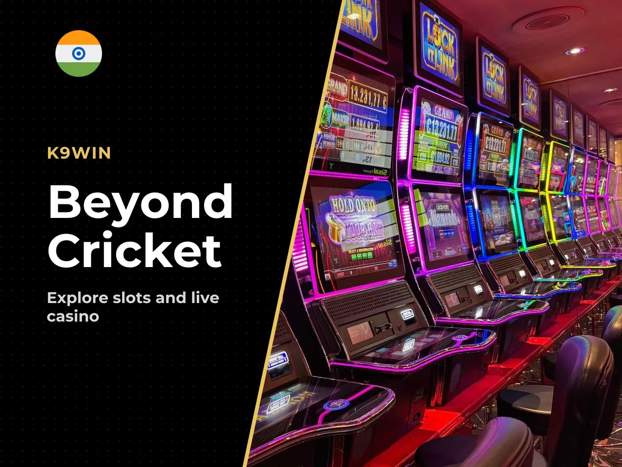 What Else K9Win Offers Beyond IPL
